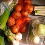 Fast sechs Kilo Gemüse: Karotten (nicht im Bild), Lauch, Zwiebeln, Knoblauch, und Fenchel