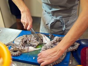 Oktopus zerteilen Der Oktopus wird mit dem Messer zerteilt