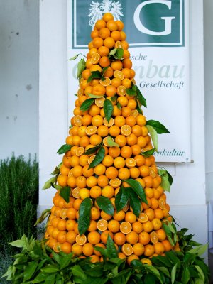 Orangenkegel Ein Orangenkegel vor dem Banner der Österreichischen Gartenbau-Gesellschaft