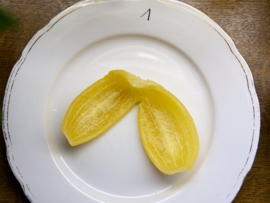 Schale einer Meyer-Salzzitrone Schale einer Meyer-Salzzitrone auf einem weißen Porzellanteller