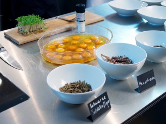 Mise en place Kresse, Eidotter in einer Schüssel, verschiedene Insekten