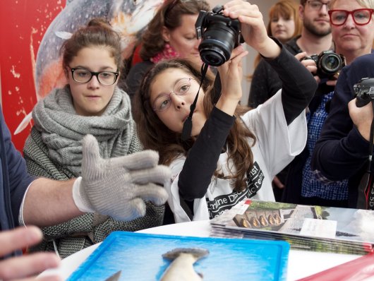 Jungbloggerinnen beim Fischzerlegen Jungbloggerinnen am Foodcamp 2014