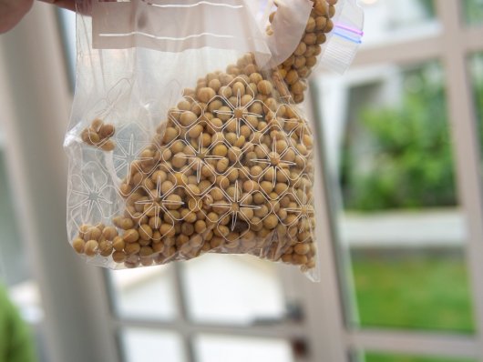 Sojabohnen Sojabohnen in einem Plastiksackerl
