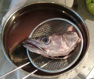 Jaws III Wolfsbarschkopf nach dem Wässern