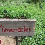 Schild "Minzenacker"