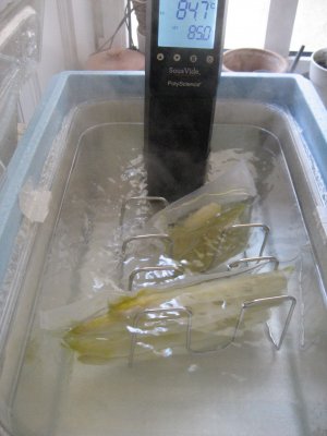 Polyscience SousVide Professional