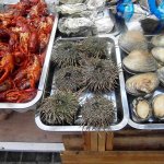 Krabben, Seeigel und Muscheln