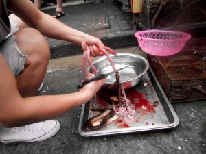 Schlange ausnehmen Eine Schlange wird ausgenommen und gehäutet