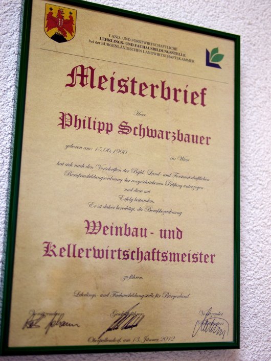 Meisterbrief als "Weinbau- und Kellerwirtschaftsmeister" von Philipp Schwarzbauer