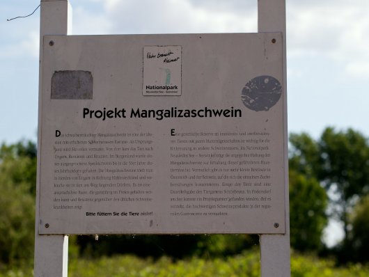 Schild zum "Projekt Mangalizaschwein"