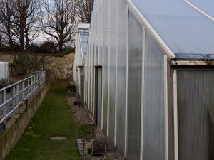 Glashaus in Schönbrunn Zitrus-Glashaus in Schönbrunn