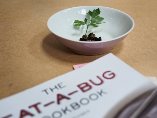 Fliegenlarven mit Eat-A-Bug-Kochbuch