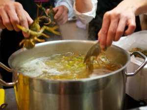 Flußkrebse landen im Kochtopf Lebende Flußkrebse werden in einen Topf mit sprudelnd kochender Court-bouillon geworfen.