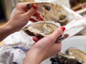 Luisas Auster Luisa Schrammel hat ihre erste Auster geöffnet