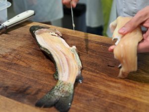 Filetieren eines Saiblings Filetieren eines Saiblings