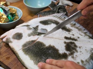 Filetieren eines Steinbutts Filetieren eines Steinbutts