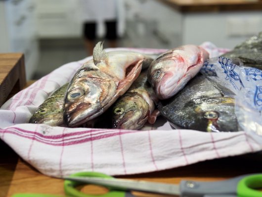 Fünf frische Fische auf einem Küchentuch