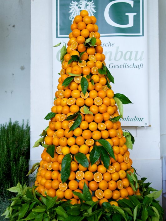 Ein Orangenkegel vor dem Banner der Österreichischen Gartenbau-Gesellschaft