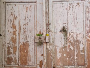 Verschlossene Türen Ein verschlossenes Tor mit einer dekorativ abgelegten Zitrusfrucht