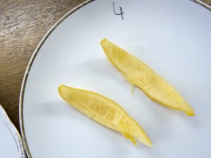 Bergamotte in Salzlake Schale einer in Salzlake eingelegten Bergamotte auf einem weißen Porzellanteller