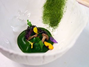 Frühlingserwachen Bärlauch, Polenta, Zanderbackerl, Buchenpilze, Wildkräuter und Blüten