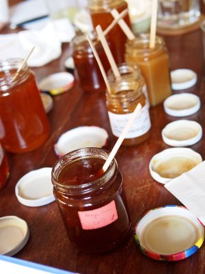 Meyer-Lemon- und Pomeranzenmarmeladen mit Verkostungstäbchen Meyer-Lemon- und Pomeranzenmarmeladen mit Verkostungstäbchen