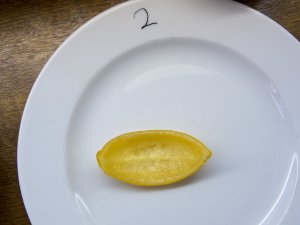 Meyer-Salzzitrone Schale einer Meyer-Salzzitrone auf einem weißen Porzellanteller