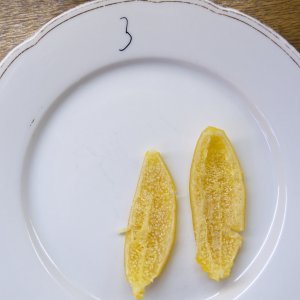 Meyer-Zitrone in Salzlake Schale einer Meyer-Salzzitrone auf einem weißen Porzellanteller