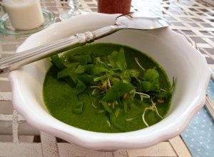 4-Spinatsuppe-im-Tilias Spinatsuppe im Tilia's