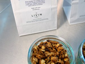 Grubnola von Livin Grubnola von Livin - Müsli mit karamellisierten Fliegenlarven
