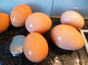 Ungefärbte Eier Ungefärbte Eier