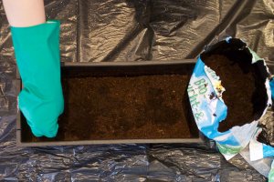 Kräutererde Einfüllen einer Erdschicht über der Drainage-Schicht