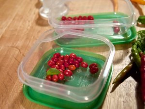 Teuflisch scharfe Chilis Teuflisch scharfe Chilis von Gerhard Zhang-Schmidt