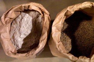 Waldstaudenkorn und -mehl Links Mehl von der Waldstaude, rechts das ungemahlene Korn