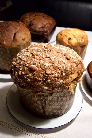 Verschiedene Panettone Verschiedene Panettone, im Vordergrund der Panettone der Kurkonditorei Oberlaa